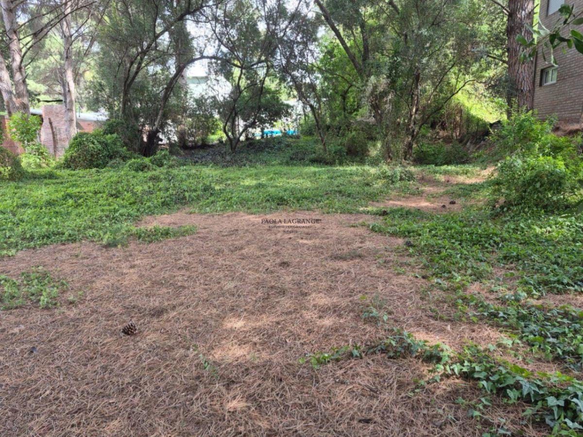 Foto de Casa en venta en Balneario Pehuen Co, imagen 3