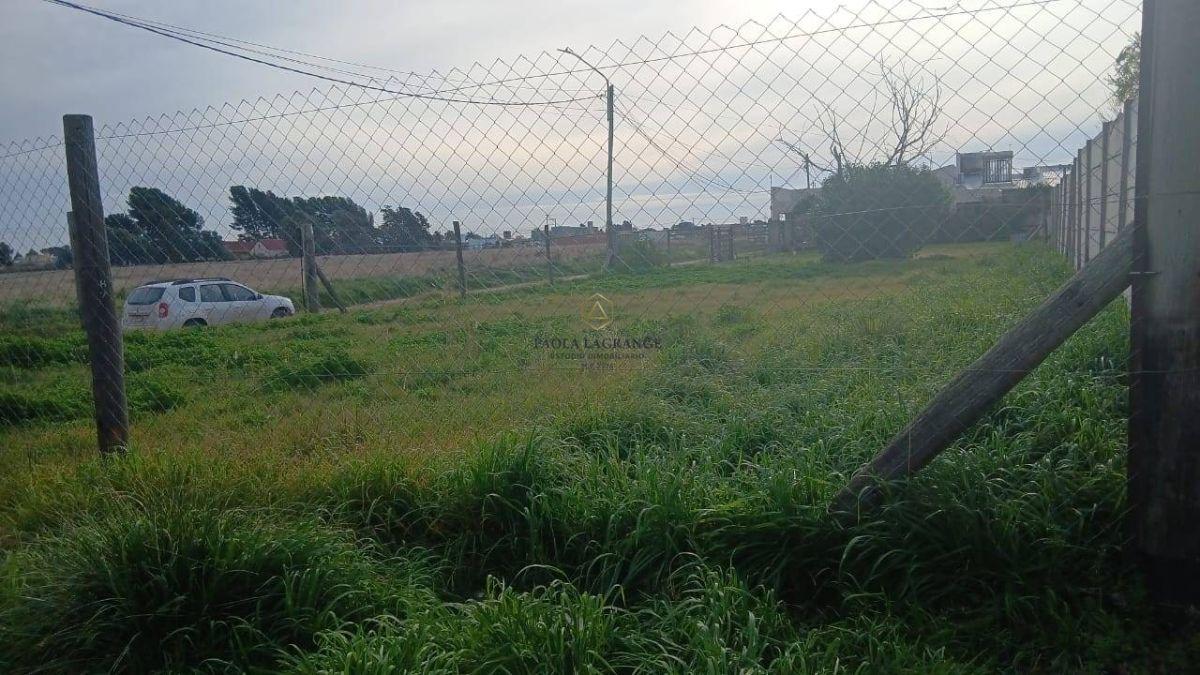 Foto de Lote en venta de 357.16m2 ubicado en el B° Los Olivos, imagen 5