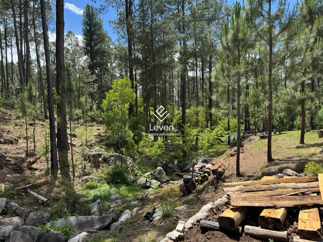 VENTA CAMPO EN YACANTO CALAMUCHITA COSTA DE RIO 5