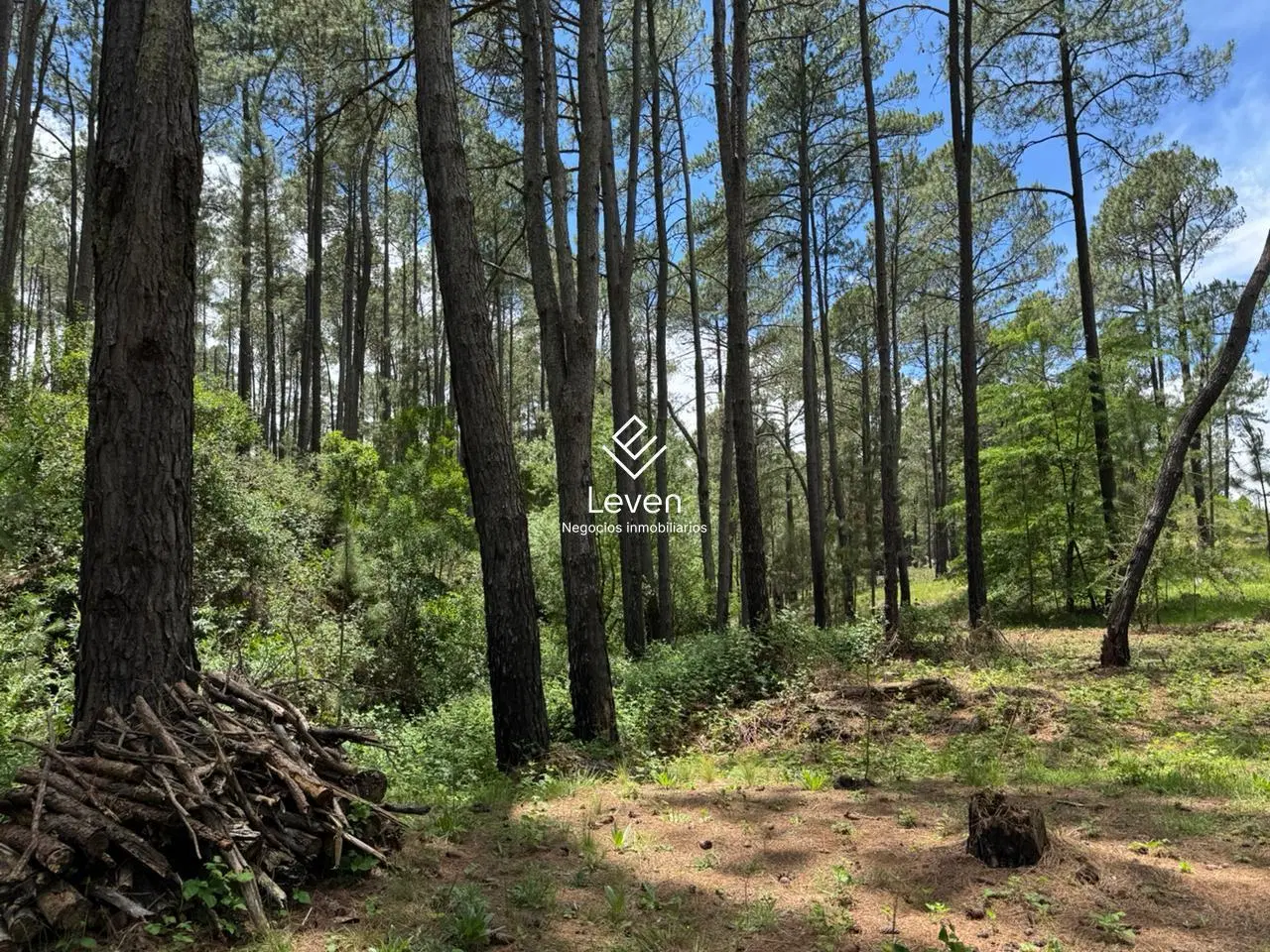 VENTA CAMPO EN YACANTO CALAMUCHITA COSTA DE RIO 3