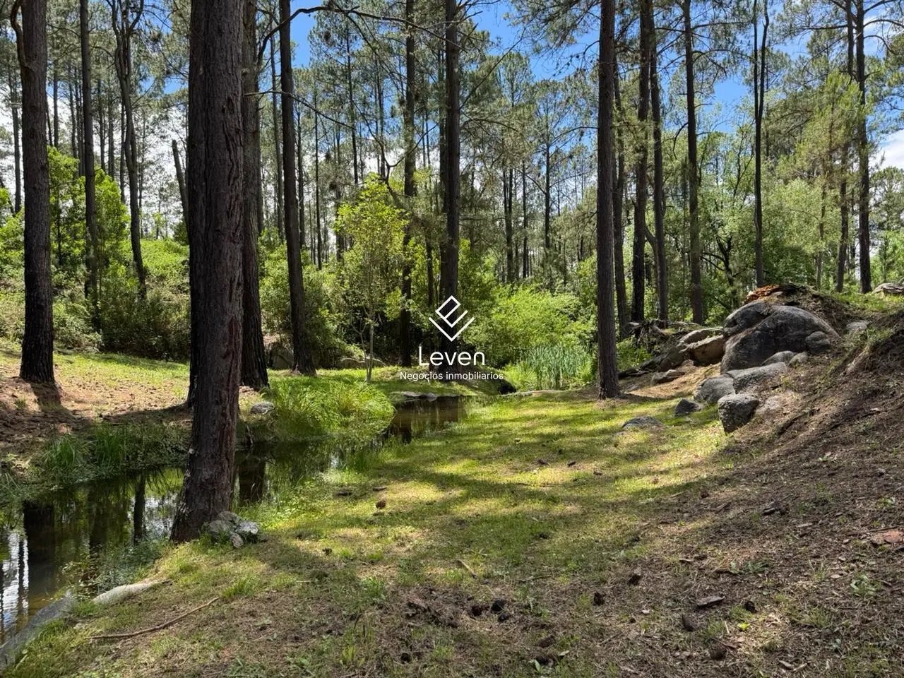 VENTA CAMPO EN YACANTO CALAMUCHITA COSTA DE RIO 4