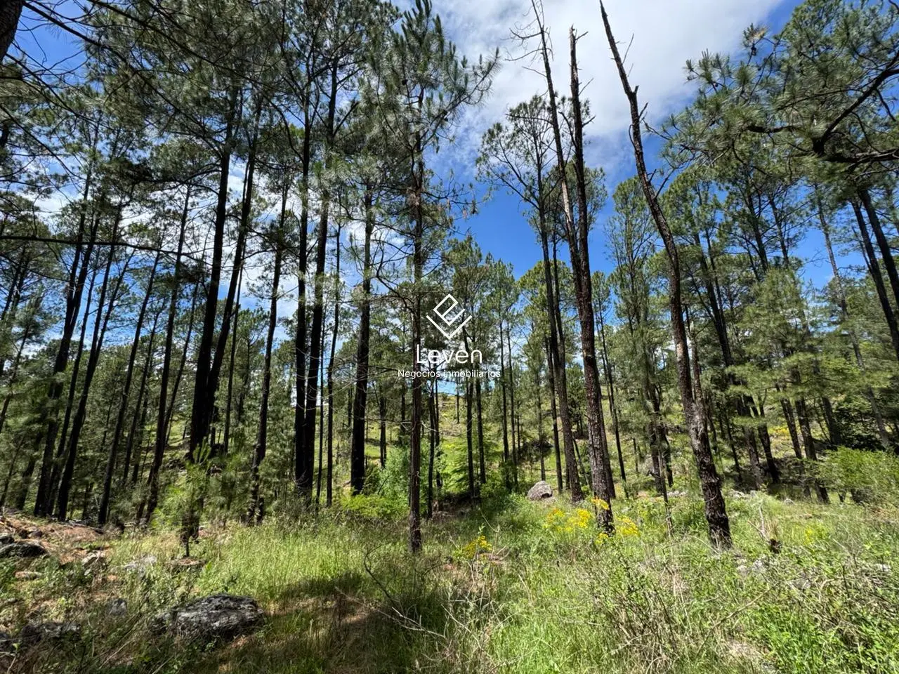 VENTA CAMPO EN YACANTO CALAMUCHITA COSTA DE RIO 2