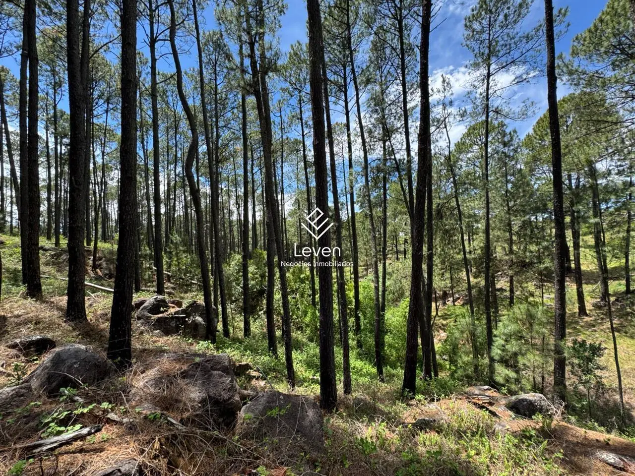 VENTA CAMPO EN YACANTO CALAMUCHITA COSTA DE RIO 4