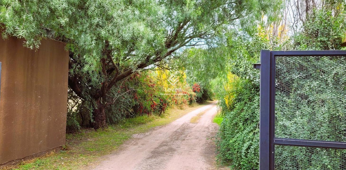 Foto de Casa en Falda Del Carmen, imagen 4