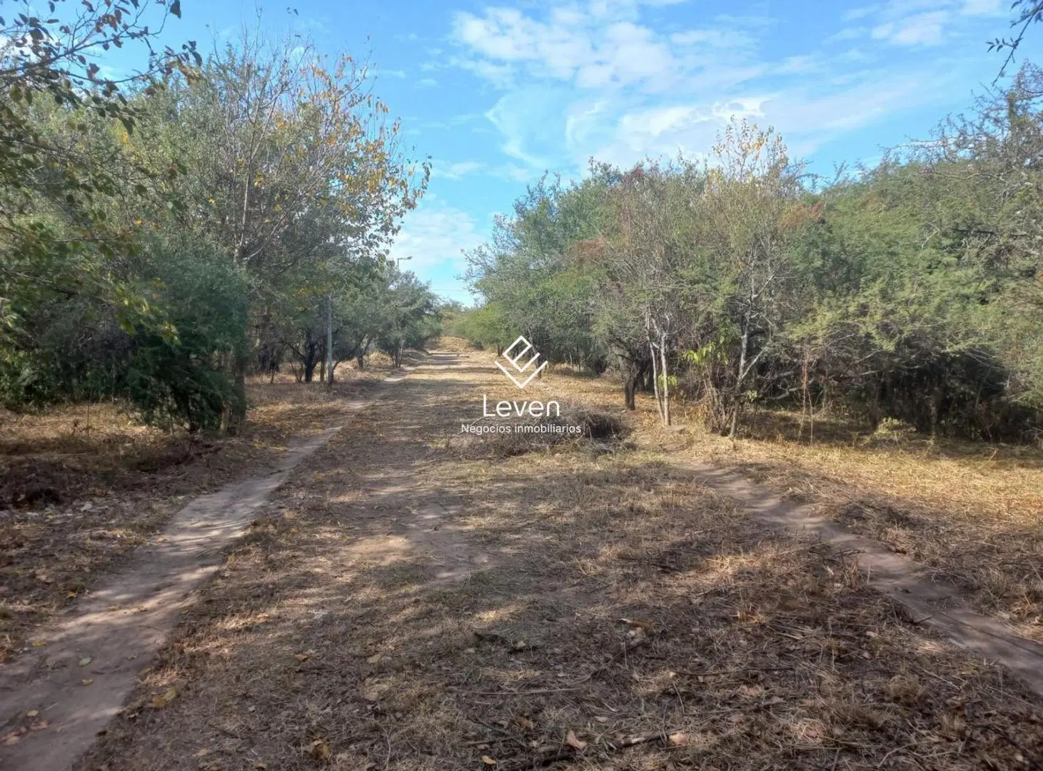 Terreno 6000 m2 apto desarrollo Villa Allende Golf 5