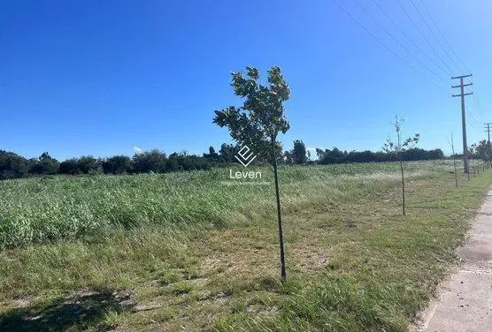 Terreno en Coronel Olmedo 5