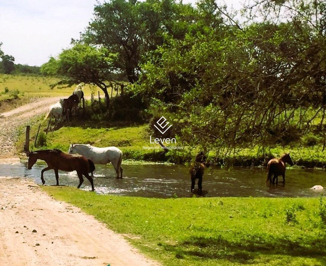 Foto de Terreno en Las Bajadas, imagen 1