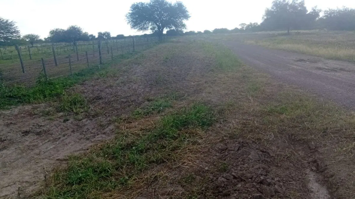 Rancho en venta con 1150 ha en Garza 3