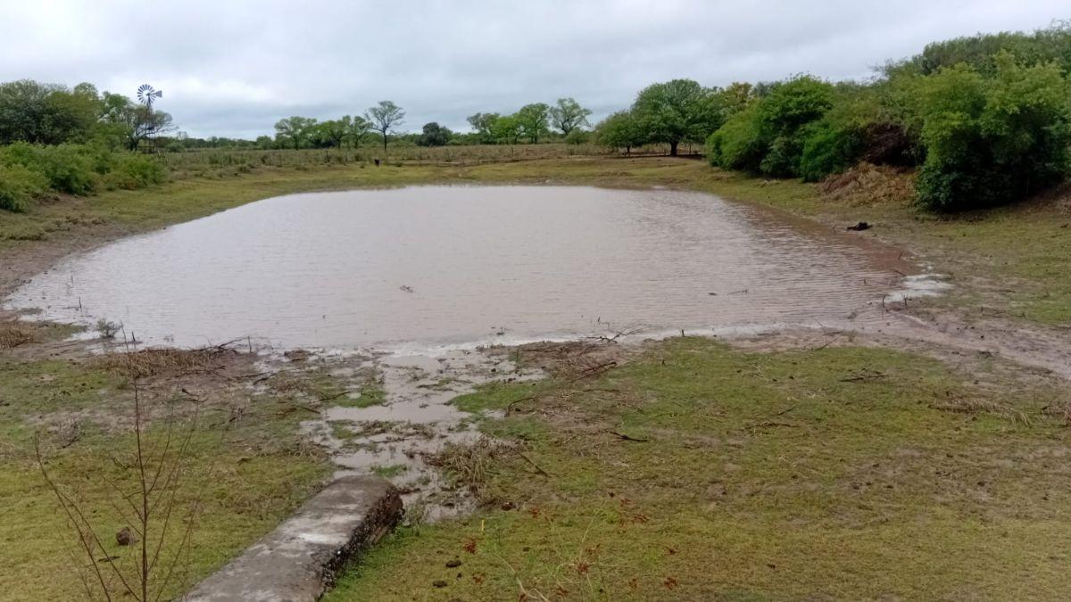 Rancho en venta con 1150 ha en Garza