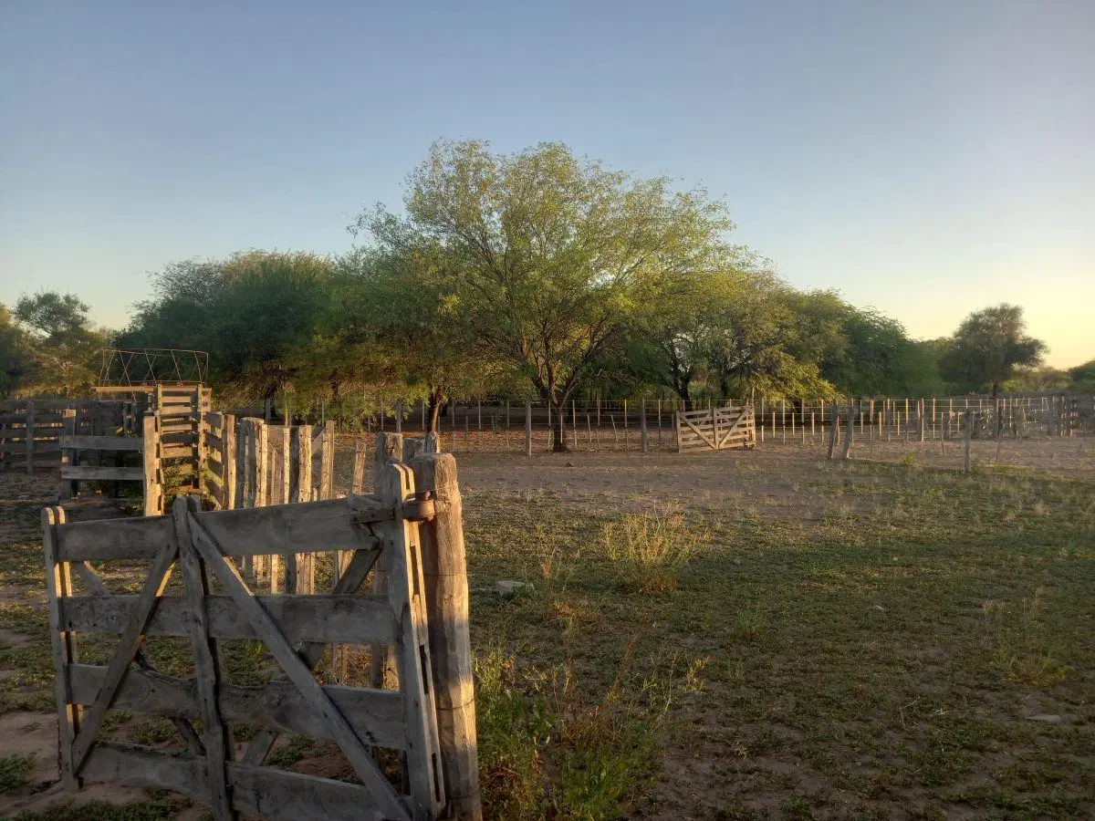 Rancho en venta con 1150 ha en Garza 5