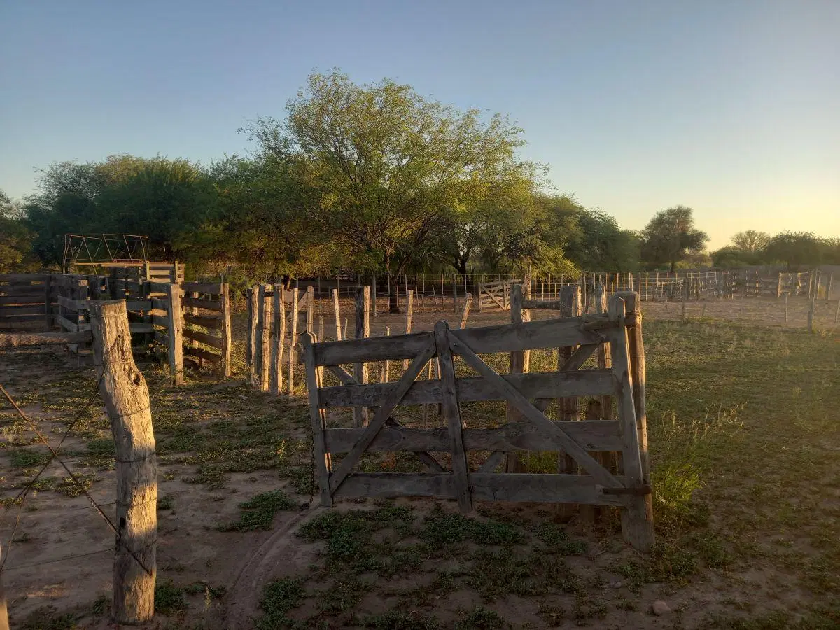 Rancho en venta con 1150 ha en Garza 4