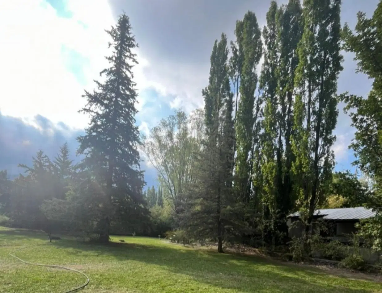 POTRERILLOS 5