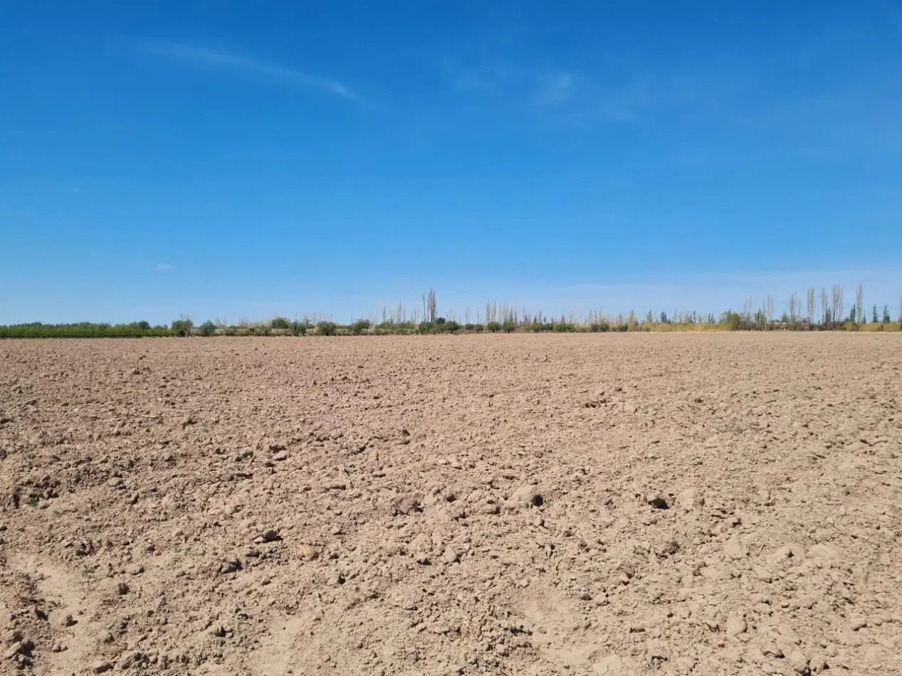 INMOESTATE VENDE FINCA EN MAIPU, MENDOZA 8