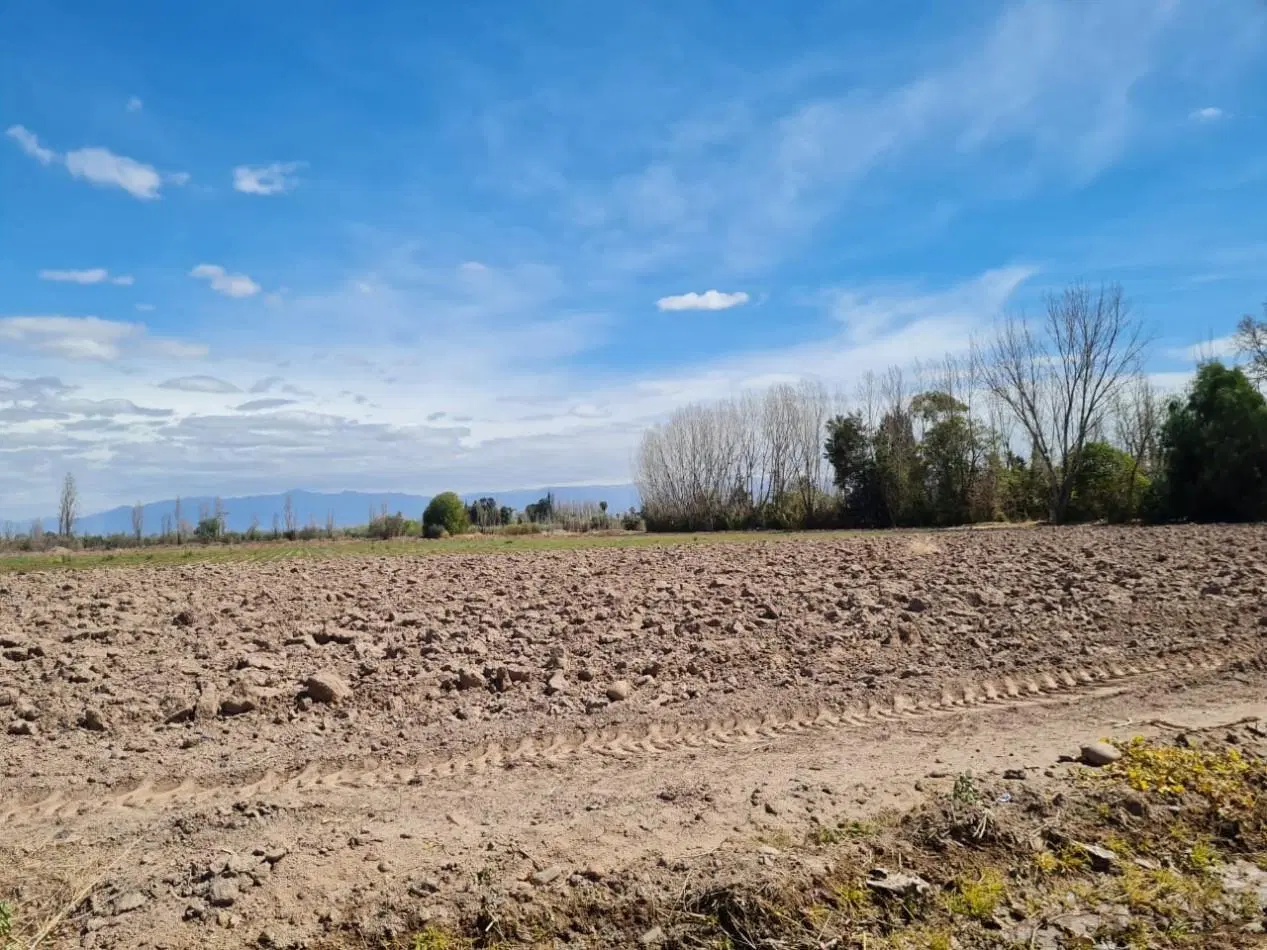 FINCA EN VENTA EN MAIPU 5