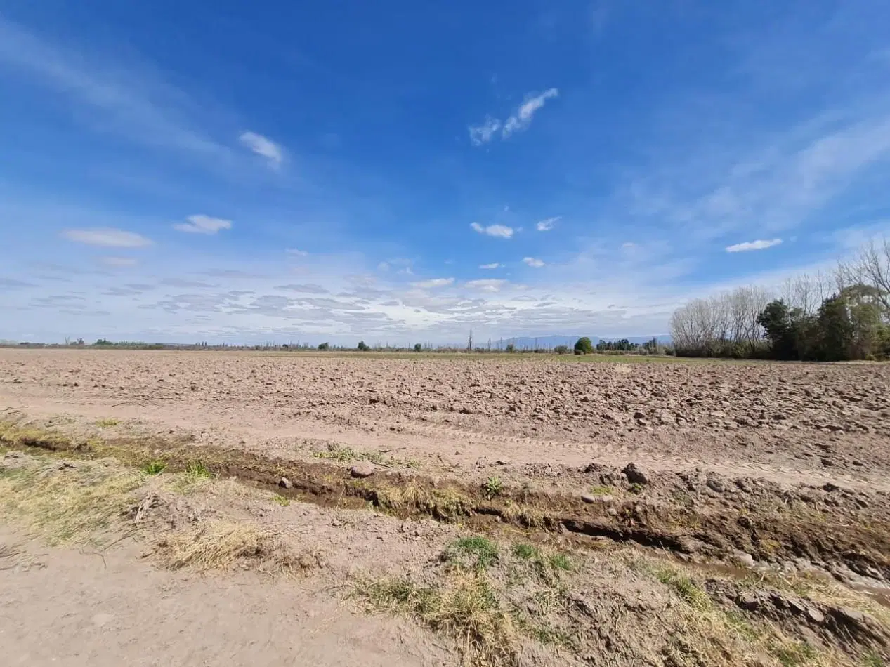 FINCA EN VENTA EN MAIPU 4