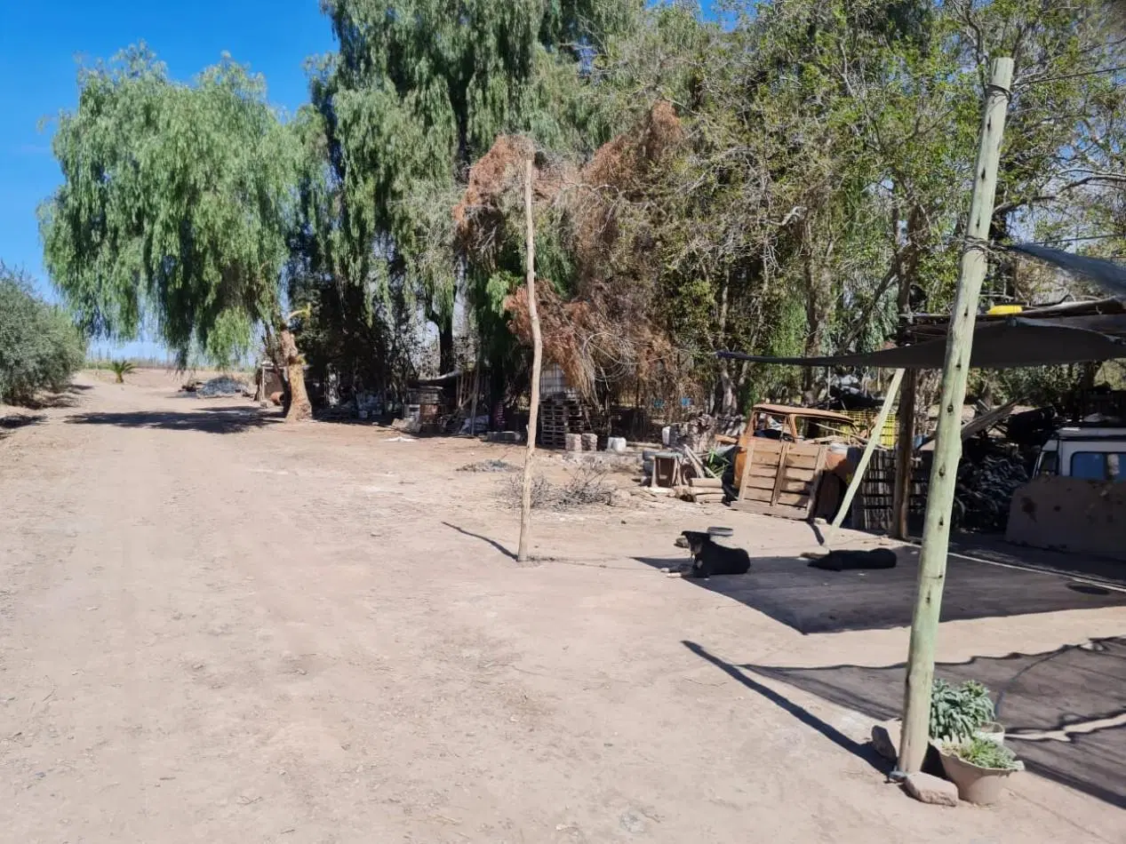 FINCA EN VENTA EN MAIPU 2
