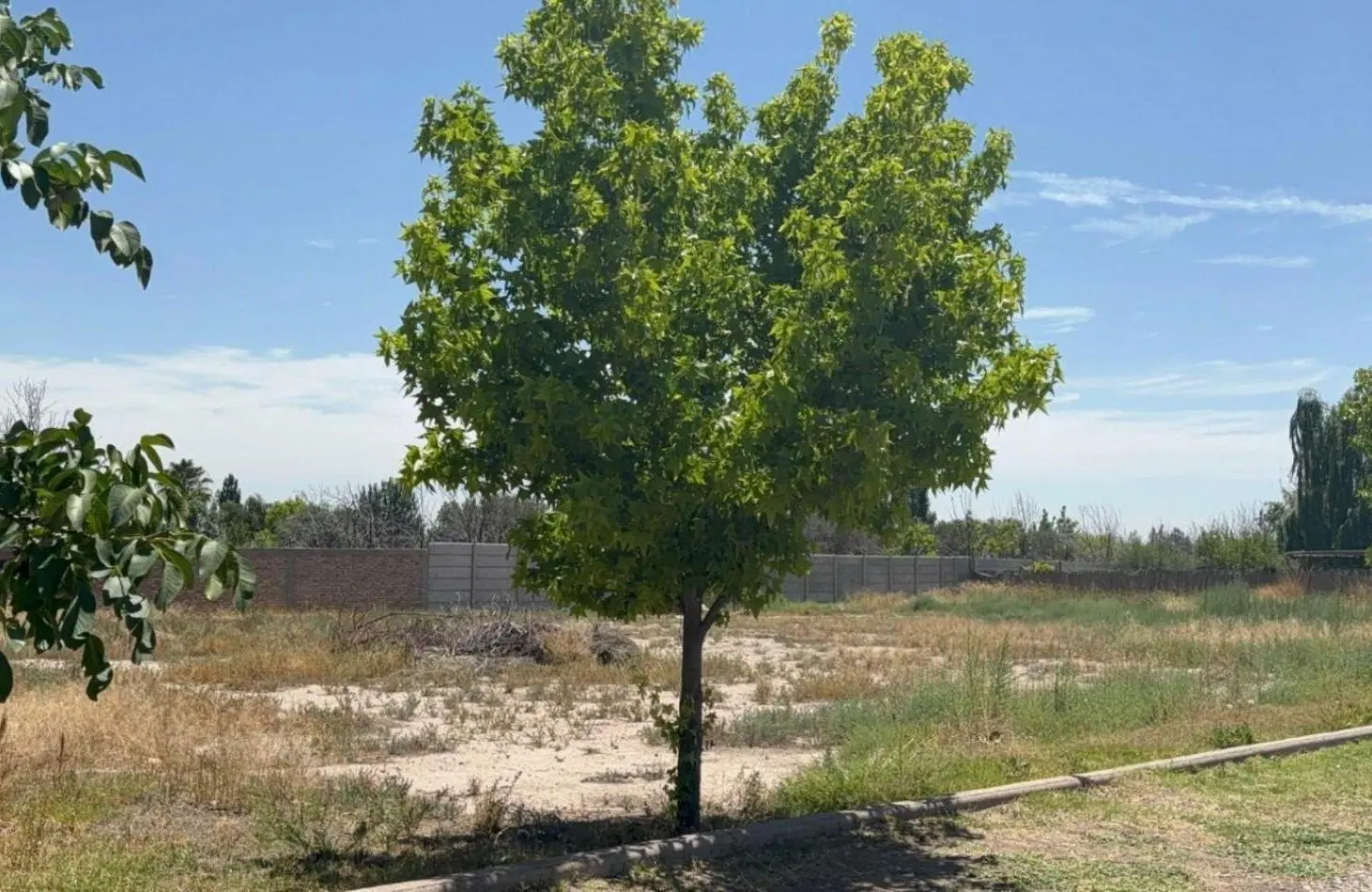 LOTE EN VENTA EN TIERRA MALBEC, CHACRAS DE CORIA 4