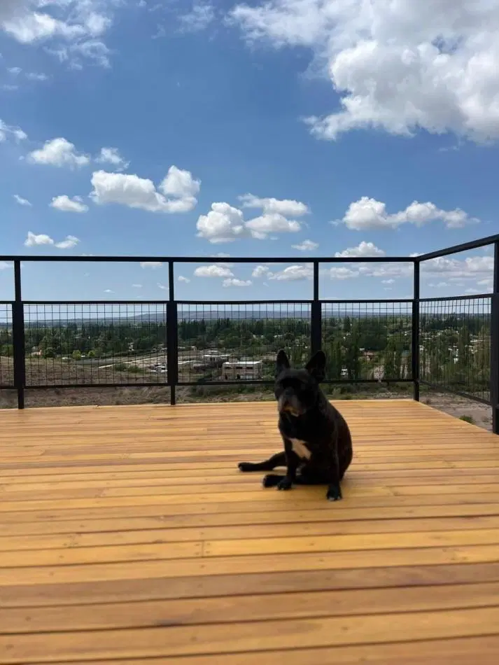 Inverti en Vistalba: Departamento en Planta Baja Funcional con Terraza y Diseño Moderno 3