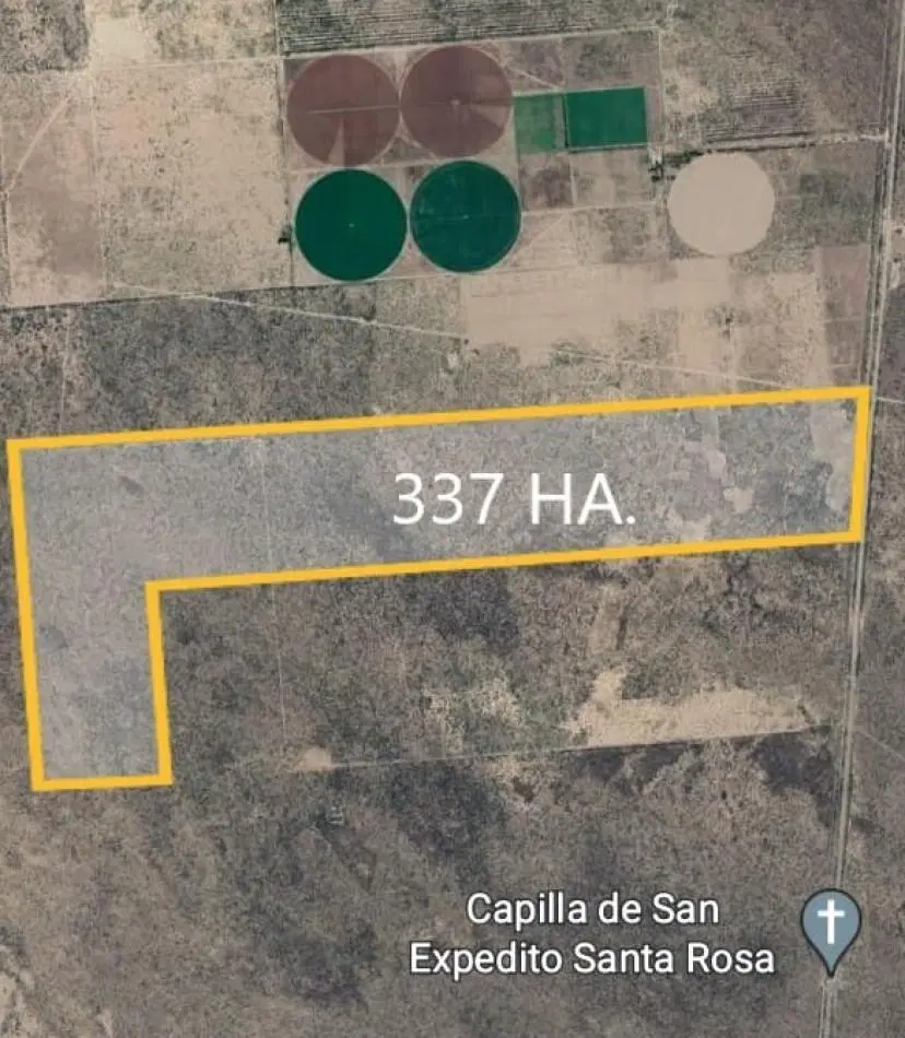 Campo en Venta - Las Catitas, Santa Rosa (Mendoza) - 337 hectareas 2