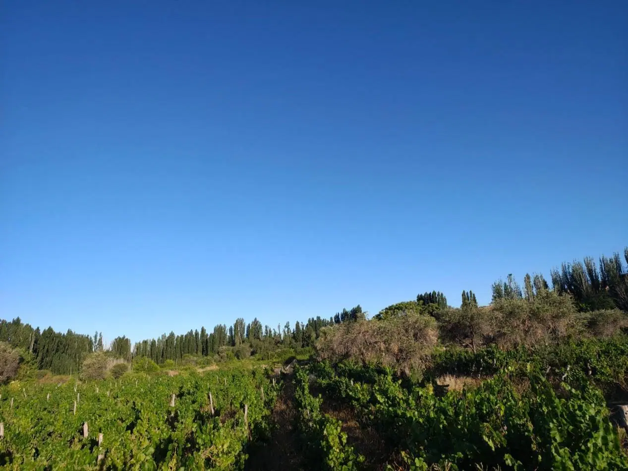VENTA DE LOTE EN PERDRIEL 5