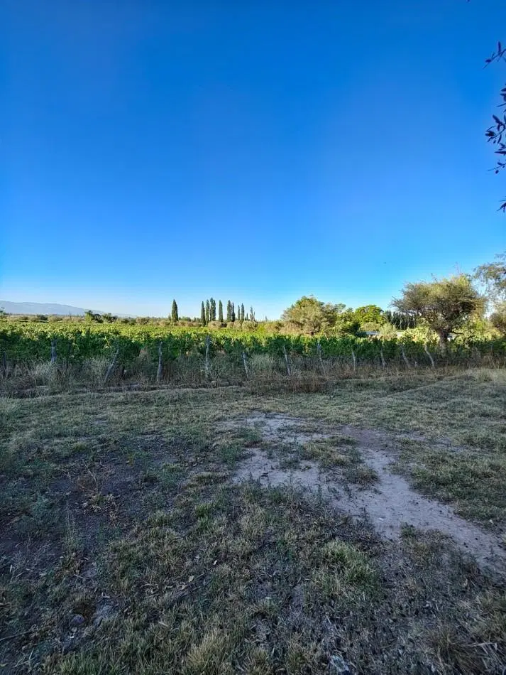 VENTA DE LOTE EN PERDRIEL 2