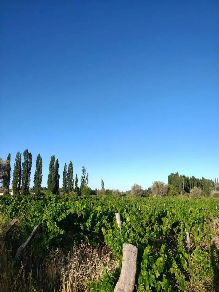 VENTA DE LOTE EN PERDRIEL 1