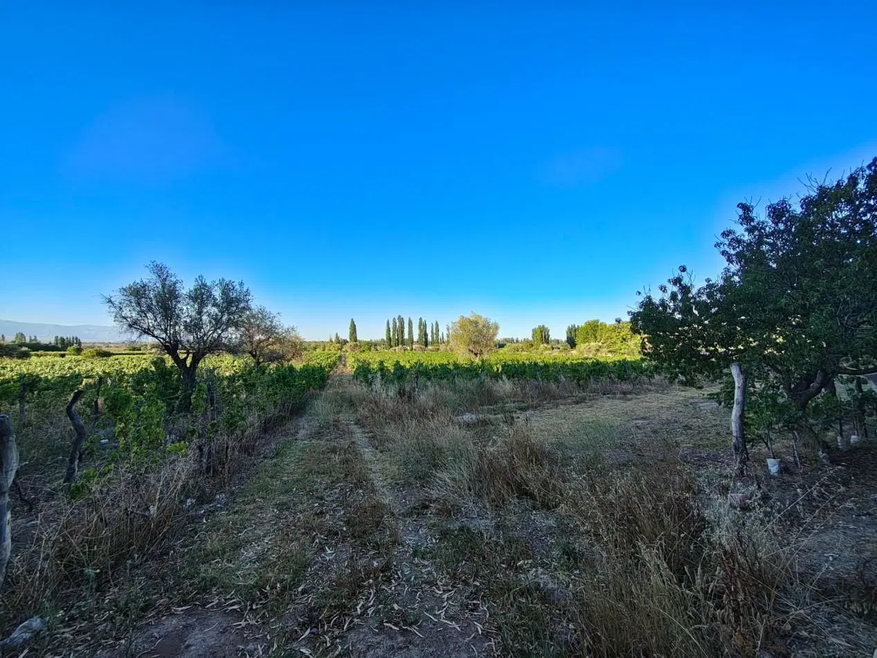 VENTA DE LOTE EN PERDRIEL 3