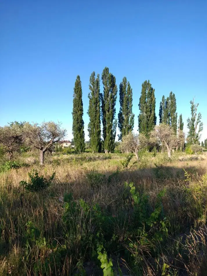 VENTA DE LOTE EN PERDRIEL 4