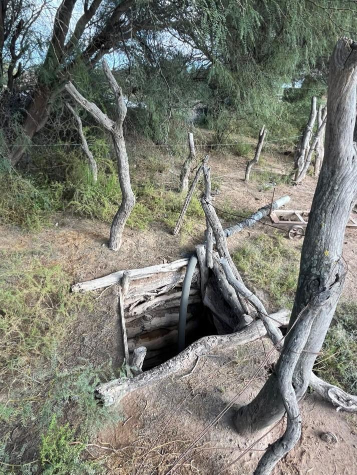 Foto de INMOESTATE VENDE CAMPO EN LAVALLE, MENDOZA, imagen 5