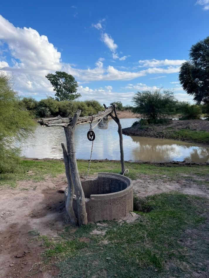 Foto de INMOESTATE VENDE CAMPO EN LAVALLE, MENDOZA, imagen 4