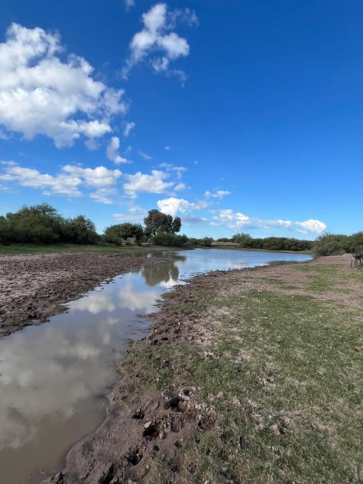 Foto de INMOESTATE VENDE CAMPO EN LAVALLE, MENDOZA, imagen 3