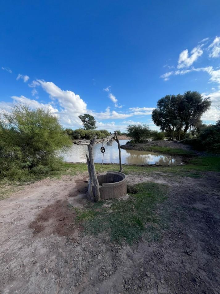 Foto de INMOESTATE VENDE CAMPO EN LAVALLE, MENDOZA, imagen 1