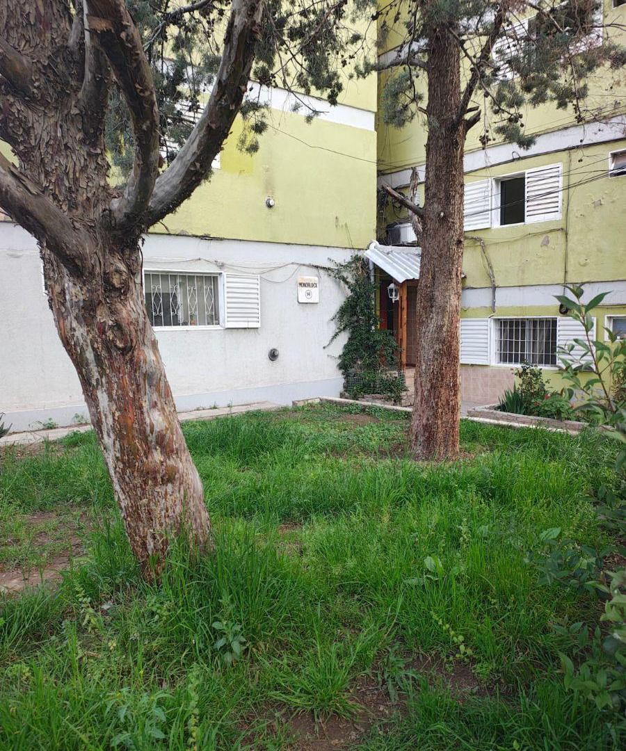 Foto de DEPARTAMENTO DE 3 DORMITORIOS EN ALQUILER, imagen 2