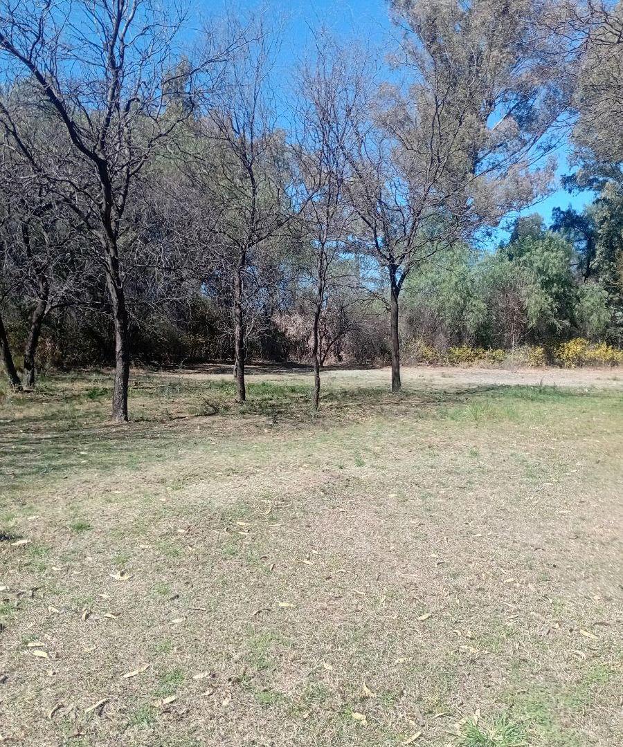 Foto de Casa de 26000 m² con 4 dormitorios en venta en Las Tapias, imagen 3