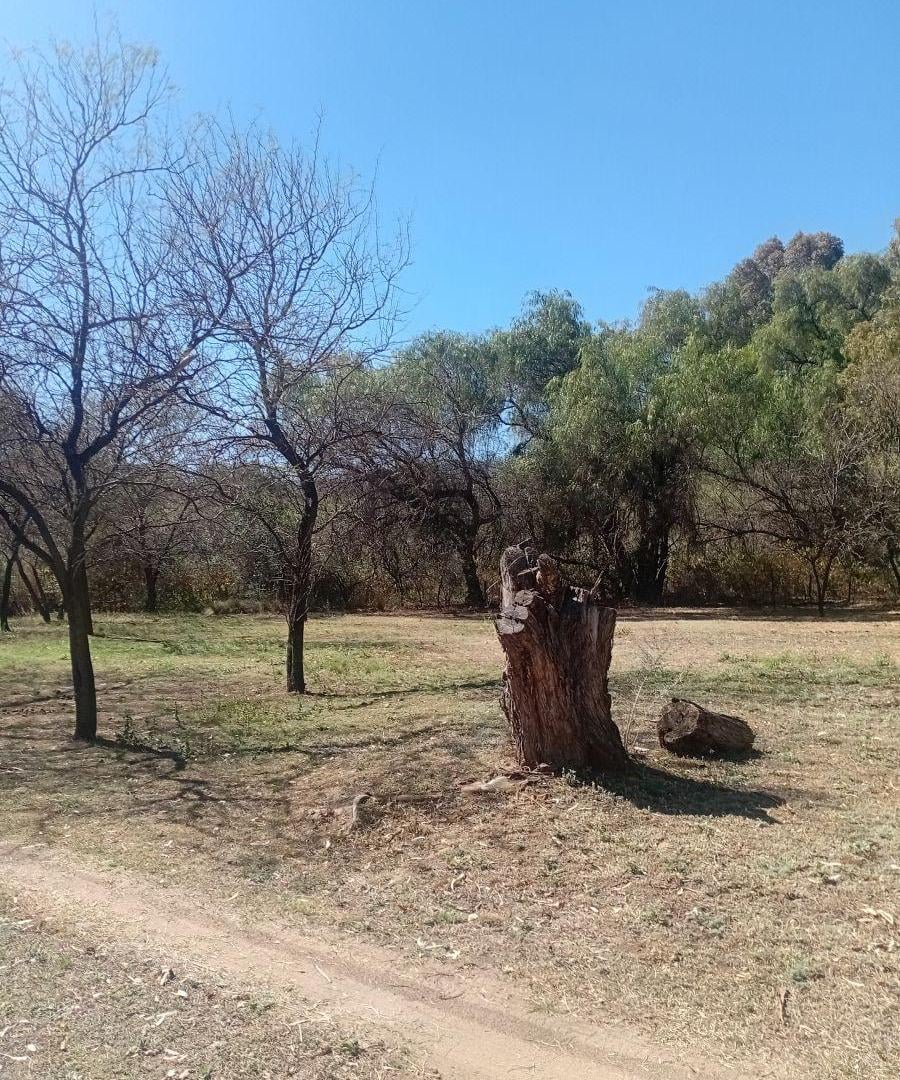 Foto de Casa de 26000 m² con 4 dormitorios en venta en Las Tapias, imagen 5