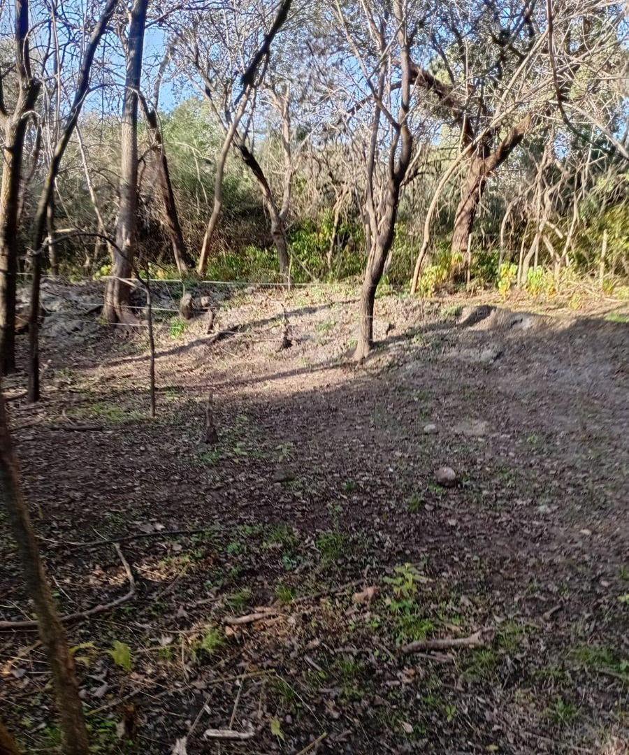 Foto de Campo de 4 ha en venta en Las Tapias con orientación noreste, imagen 1