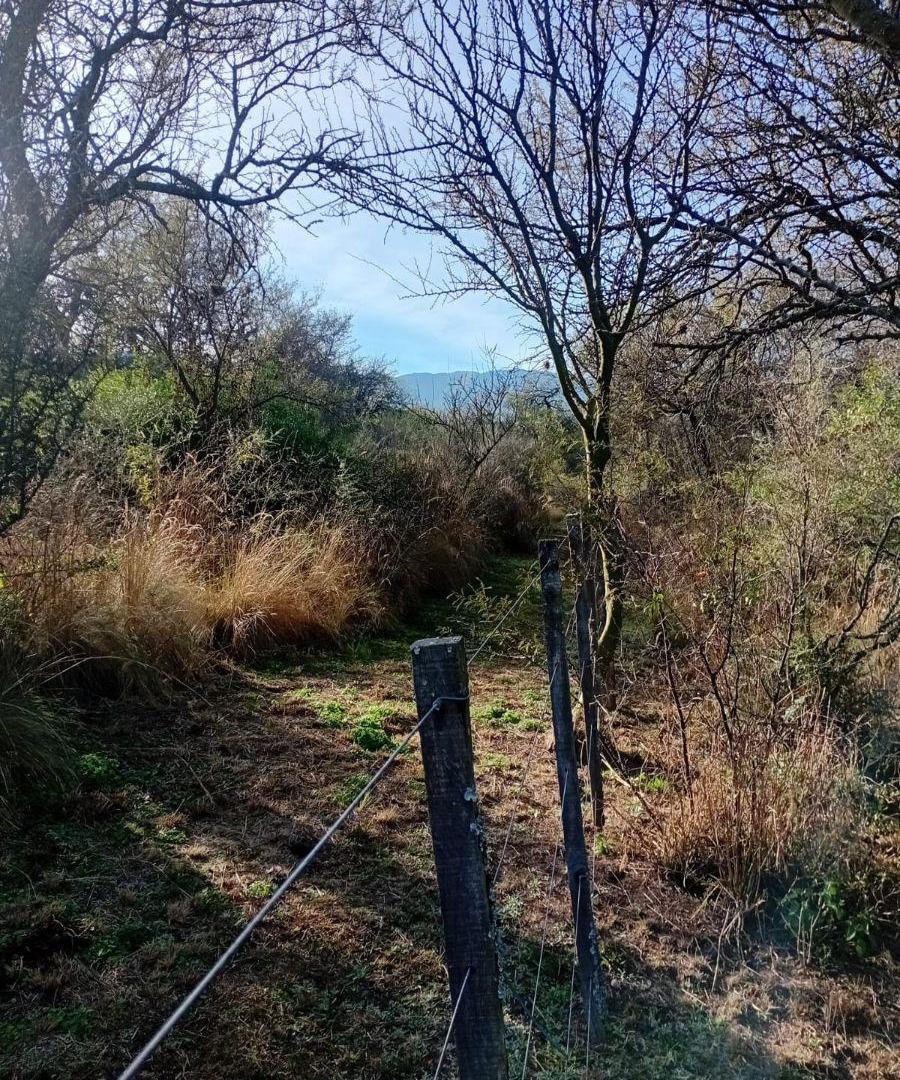 Foto de Campo de 4 ha en venta en Las Tapias con orientación noreste, imagen 4
