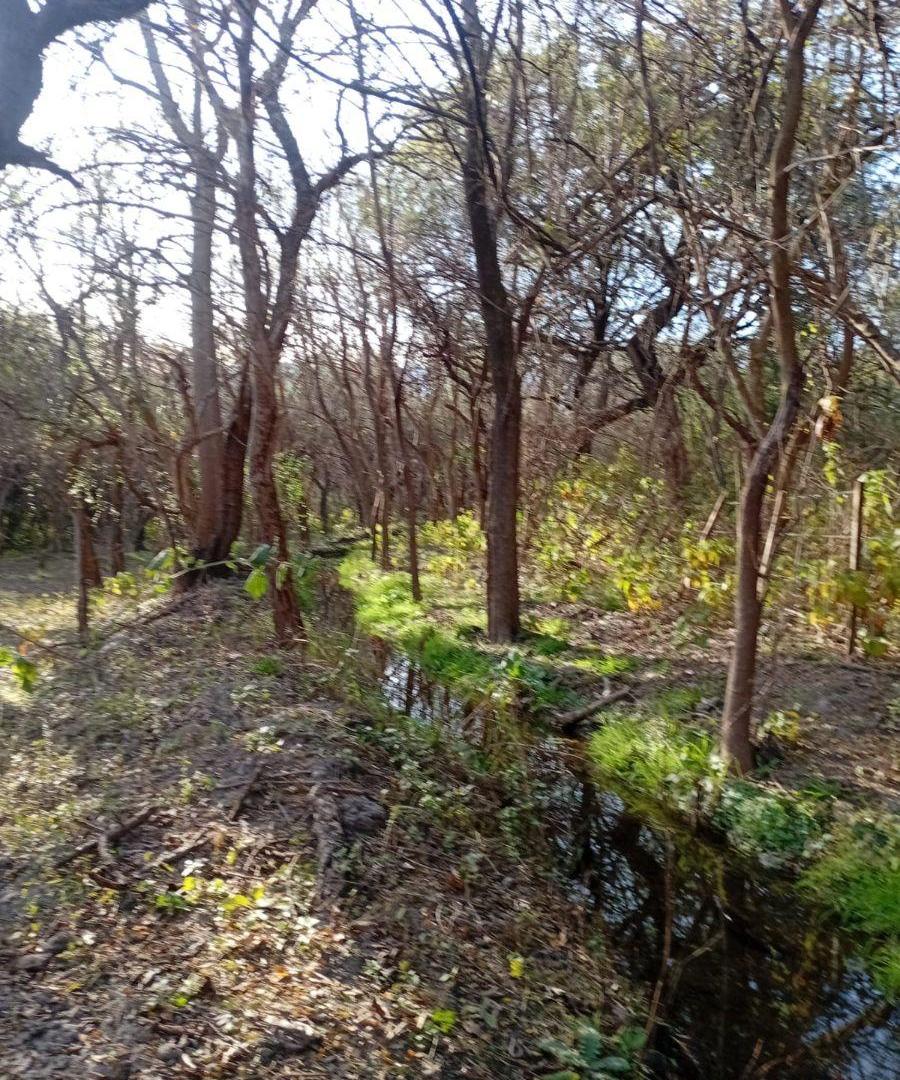 Foto de Campo de 4 ha en venta en Las Tapias con orientación noreste, imagen 3