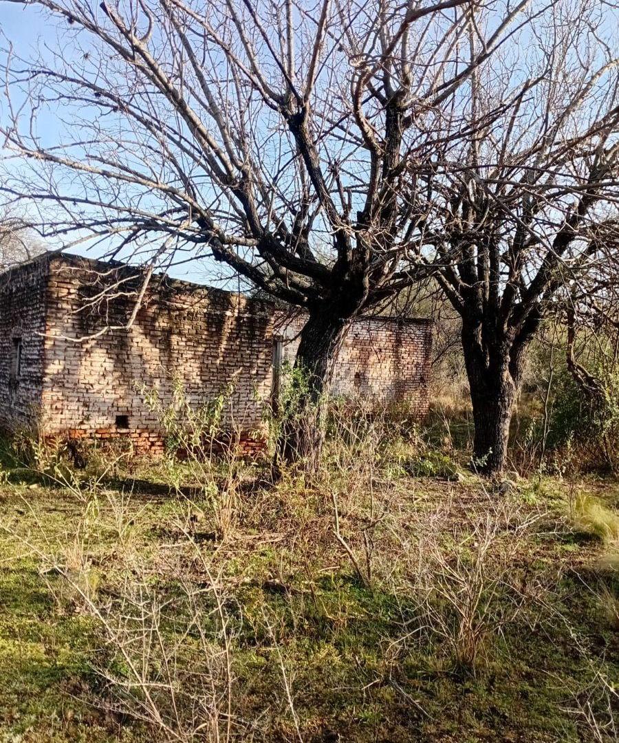 Foto de Campo de 4 ha en venta en Las Tapias con orientación noreste, imagen 2