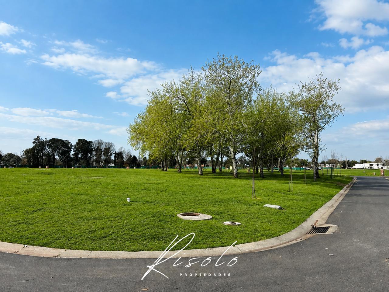 Foto de Azzurra Tortugas: - Lindísimo lote de 700 m² aprox. con la orientación, imagen 3