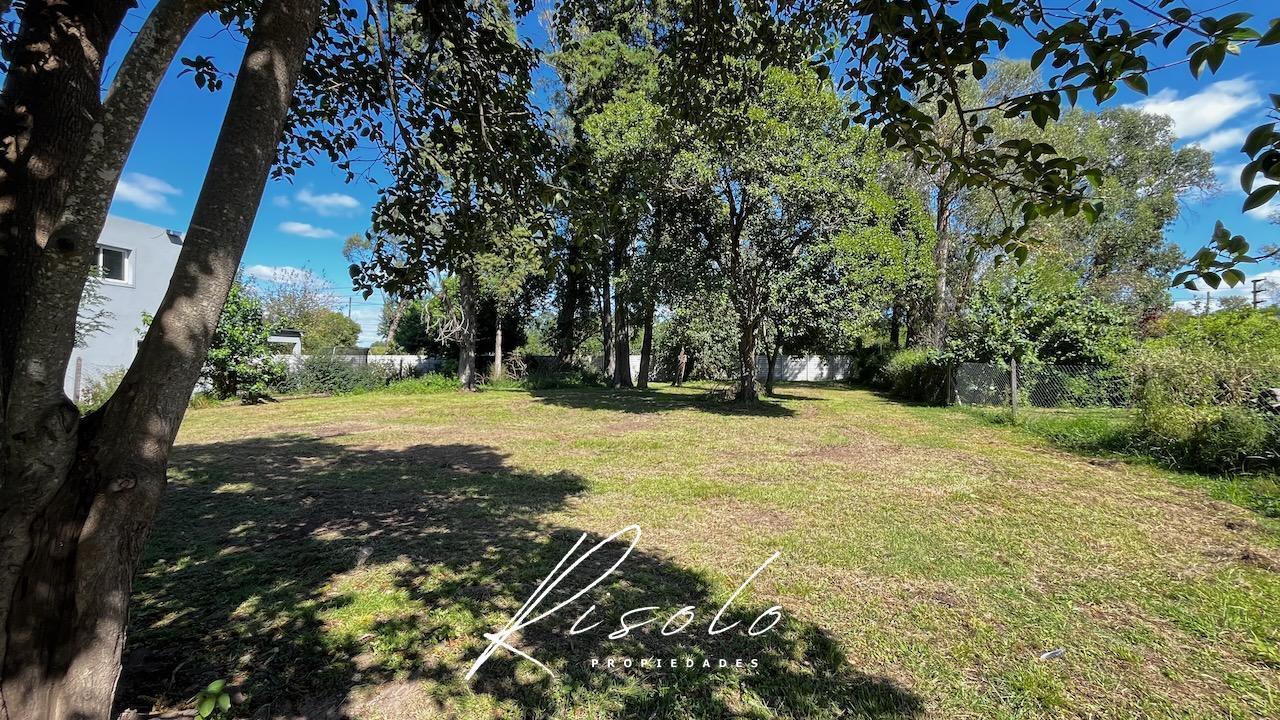 Foto de Lote en Venta. Barrio Cerrado. Zona Norte. Escobar, imagen 5