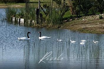 Foto de Lote en Venta, fondo a la Laguna. Barrio Cerrado, Escobar, imagen 4