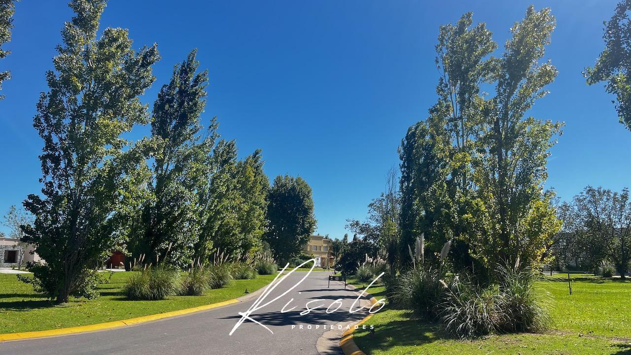 Foto de Lote en Venta con fondo a la Laguna, orientacion Noreste. Barrio, imagen 5