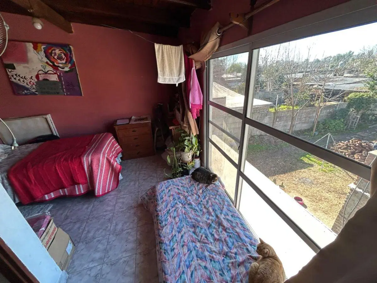 CASA DOS PLANTAS, DEPTO.INTERNO, GALPON DE DEPOSITO. 1