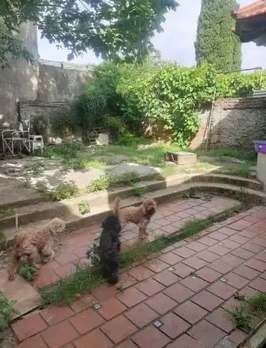 CASA, en lote propio 2