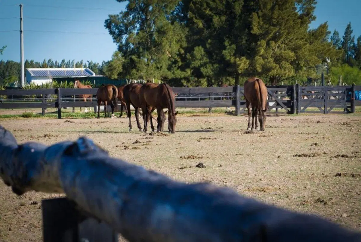 VENTA CASA LA VICTORIA POLO COUNTRY CLUB 3 AMBIENTES 5