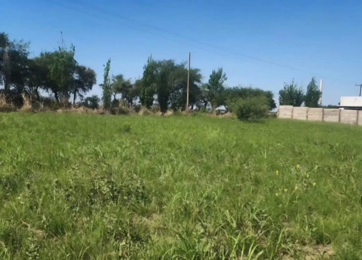 VENTA TERRENO SOLES SERRANOS 1 UNQUILLO 4