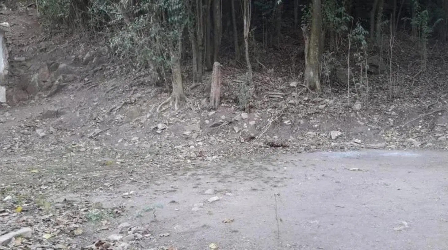 Terreno - Rio Ceballos 5