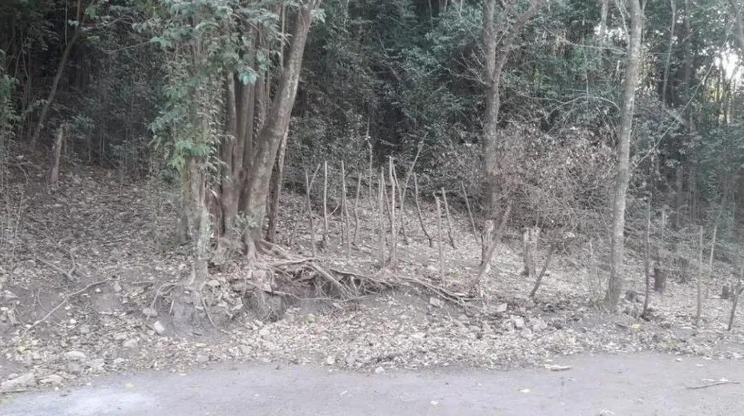 Terreno - Rio Ceballos 2