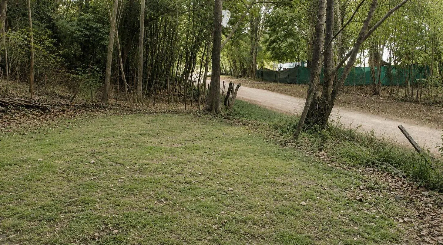 Terreno - Rio Ceballos 3